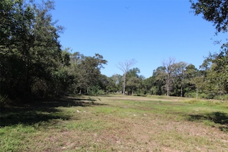 1242 Scroggins Ln, Waller, TX 77484