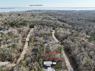 194 Oakridge, Livingston, TX 77351