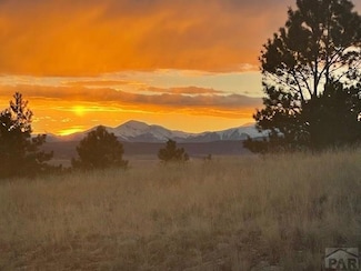 1043 Running Bear Rd, Hartsel, CO 80449