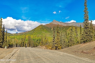 L7 S Red Rooster Rd, Glacier View, AK 99674