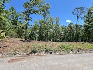 Lot 44 Bayside Blvd, Bean Station, TN 37708