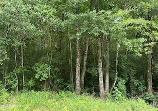 22290 Old Highway 49, Saucier, MS 39574