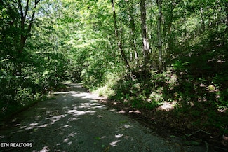0 Love Colony Rd, Smithville, TN 37166