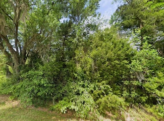 Messer Rd, Sneads, FL 32460