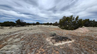 9401 S Latigo Rd Unit 252, Williams, AZ 86046