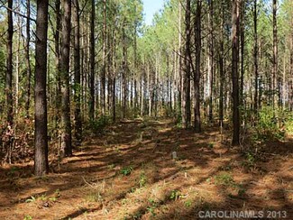 14.6 AC Ferndale Rd, McConnells, SC 29726