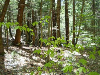 00 Dero Rd, Lempster, NH 03605