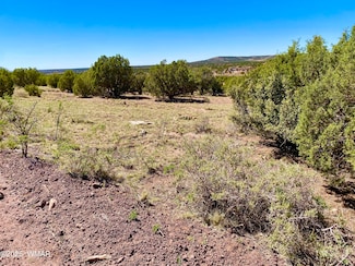 0 County Road 8269, Concho, AZ 85924