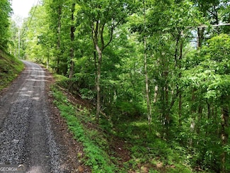 14B & C Rainbow Ridge Rd, Hiawassee, GA 30546