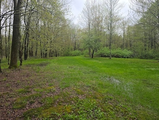 100 Fuller Road Lot Unit WP004, Triangle, NY 13778