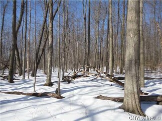 00 Austin Rd, Venice, NY 13118