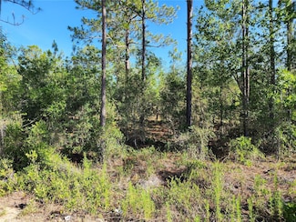 0 SW Edgewater Blvd Unit MFROM703539, Dunnellon, FL 34431