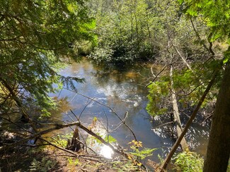 763 W Deer Run Rd, Free Soil, MI 49411