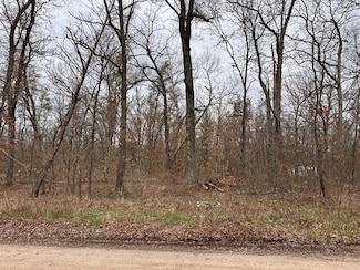 V/L W Lakewood Grove Dr, Webber Township, MI 49304