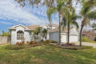 16927 Melissa Ann Dr, Lutz, FL 33558