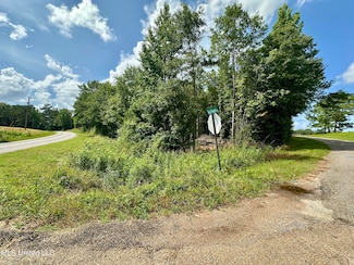 66 Pete Freeman Rd, Decatur, MS 39365
