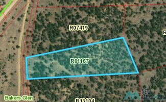 LOT 17-A God's Acre Rd, Candy Kitchen, NM 87321