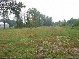 0 Van Dyke Rd Unit 2210043490, Almont, MI 48003