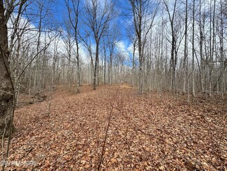 1552 Wilson Ridge Rd, Jamestown, TN 38556