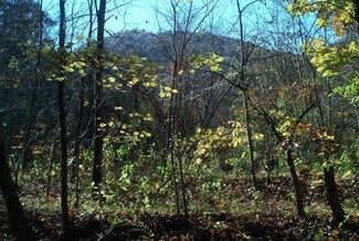 PAR 030.04 Old Mountain Rd, Treadway, TN 37881