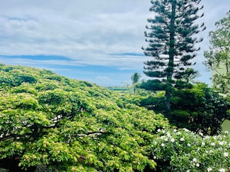 3-3400 Kuhio Hwy Unit B303, Lihue, HI 96766