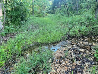 000 County Road P-305, Squires, MO 65608