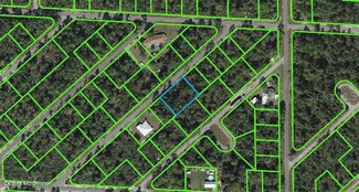 1057 Cellini St, Lake Placid, FL 33852