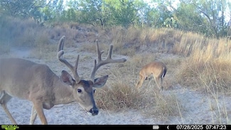 0 Cameron Ln, Fowlerton, TX 78021