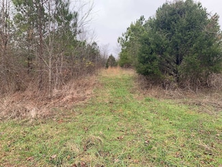 9 Sulphur Springs Rd, Selmer, TN 38375