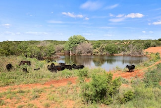 1441 County Road 362, Dickens, TX 79229