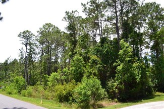 Lot 24 Garden St, Santa Rosa Beach, FL 32459