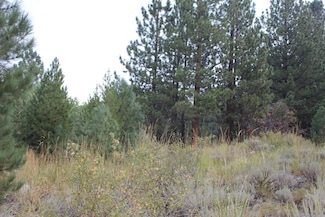 265 Westwood Dr Unit 14, Twin Lakes, CA 93517