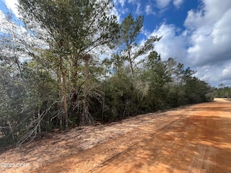 Lot 10 W Laurel Dr, Alford, FL 32420