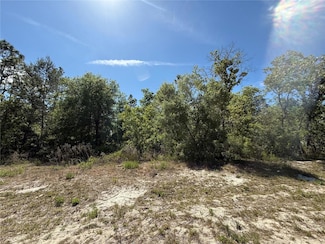 N/A SW 89th Terrace, Dunnellon;, FL 34432