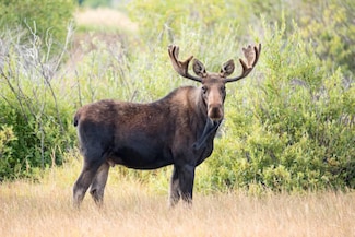 1 W Side Dr, Rangeley, ME 04964