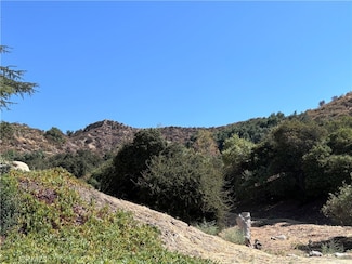 11500 Mount Gleason Ave, Los Angeles, CA 91402