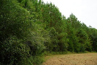 4180 Alabama 131, Clayton, AL 36016