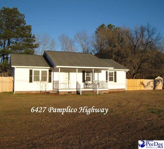 6427 Pamplico Hwy, Effingham, SC 29541