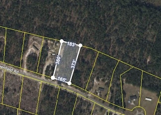 6929 Greenfield Rd, Blackshear, GA 31516