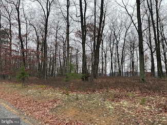 0 Doman Ridge Rd Unit WVHS2007072, Romney, WV 26757