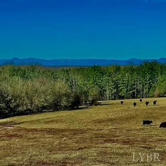 Lot 5 Piney Mountain Rd, Appomattox, VA 24522