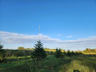 TBD 120th St, Balaton, MN 56115