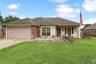 9961 Petersburg Dr, Denham Springs, LA 70706