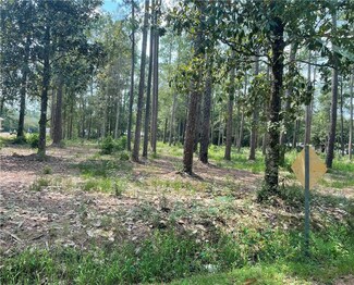 0 Mill Rd N Unit 2462381, Lacombe, LA