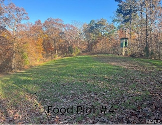 0 Tract 1 (160+ - Acres) Lodge Rd Unit MAR25027714, Potosi, MO 65441