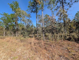 0 SE 135th Ct, Dunnellon, FL 34431