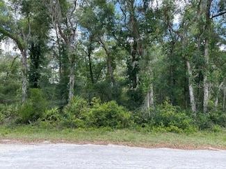 6471 Otter Dr, Webster, FL 33597