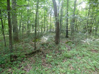 10640 Otto Rd, Amherst, WI 54406