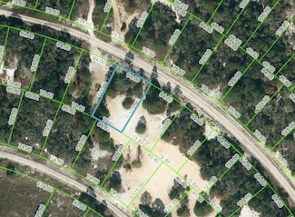 463 Morningside Dr, Lake Placid, FL 33852