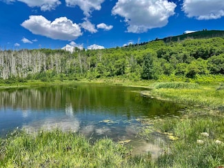 000 Groundhog Reservoir Rd Unit Pond Rock Elk & Catt, Dolores, CO 81323